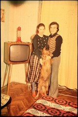LOT 2x pretty couple w TV set, sweet dog,, fine art slide, dia! 1970’