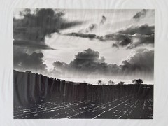 7×9 Black & White Stephen Stoneberg (Asheville, NC) Photographs on 13×14 Mattes