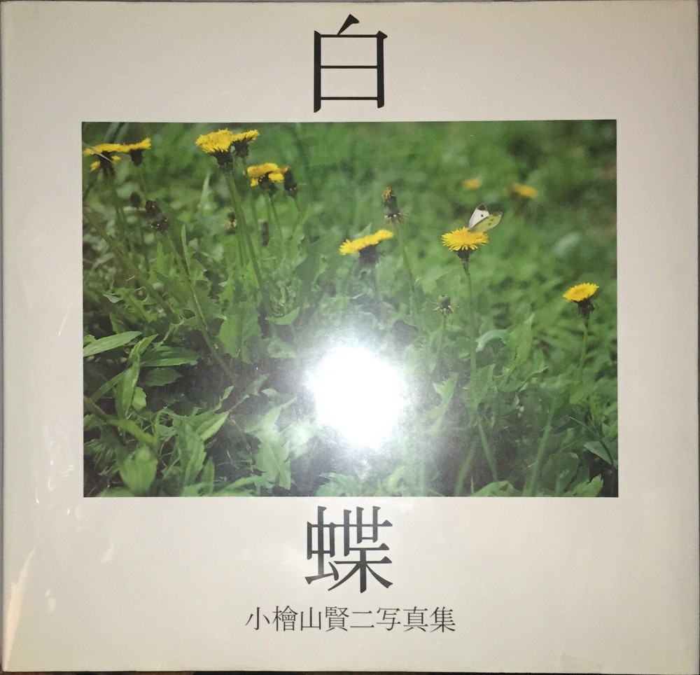 Shirocho: Kenji Koyama’s White Butterfly Photography