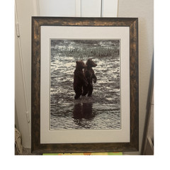 Henry H Holzwarth Framed Wildlife Photography Color Portrait of Bears in Nature