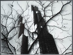 Rare Gary Seidel Signed Photograph Rockefeller Center NYC Winter 1963 20×24″