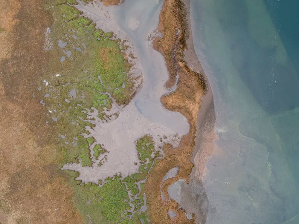 Oakland Bay Spring/Aerial View/Metallic Ink Print