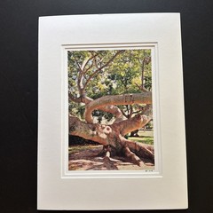 Original Photograph On Matte Paper & Matted To A 12” x 16” And Ready To Frame
