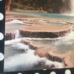 11 x 14 vintage photo print