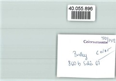 40055896 – 5584 Bullay Local View