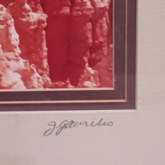 John Gravrillis Original Photograph Framed Art Bryce Canyon Utah 18in x23in