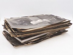 Bundle Photographs Large Format GDR Animals Everyday Professions Vintage Photos