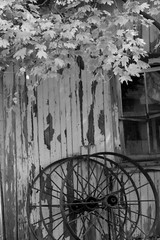 Old Barn Photo, Pick One Image – Various Sizes