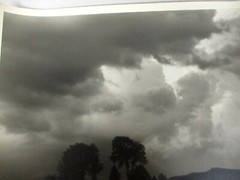 L. WHITNEY STANDISH PHOTOGRAPH NEW ENGLAND HILLSIDE & APPROACHING STORM ORIGINAL