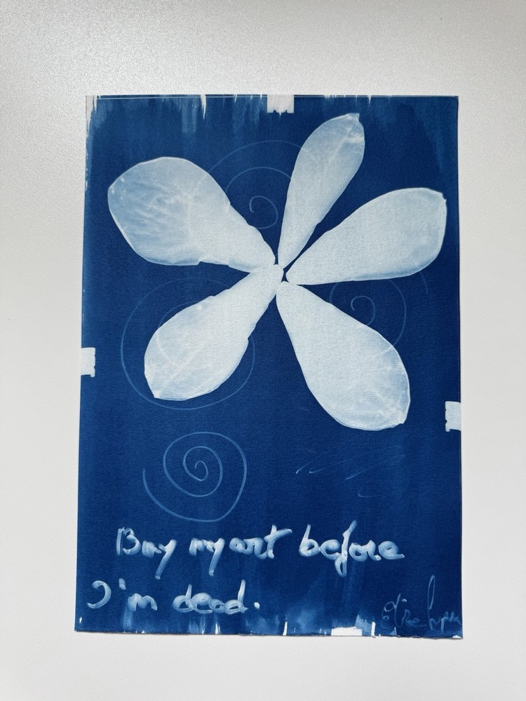 Botanical Cyanotype Print | Handmade Blue Sun Print | Fine Art Photography 20×30