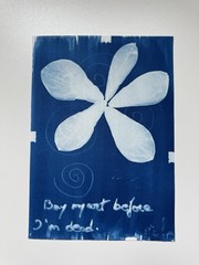 Botanical Cyanotype Print | Handmade Blue Sun Print | Fine Art Photography 20×30