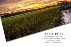 Dead Tree in Salt Marsh Print, South Carolina Pictures, Coastal Lowcountry Decor