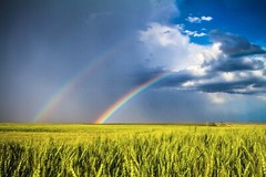 Country Photography Print – Picture of Double Rainbow and Wheat Field in Kansas