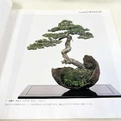 Nihon Bonsai Sakufu Ten 5th 1980 potted plants Japanese tradition art Photo Book