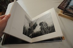 Araquem Alcantara Quens Mais Artes Graficas Amazing Brazilian Photographs HCDJ