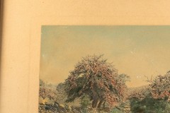 Wallace Nutting Antique 1920’s Hand Colored Photo, The Beauty of the Uplands