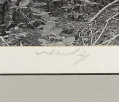 Bob Werling Signed #3 Lake Tahoe Black & White Framed Decorative Edition Print