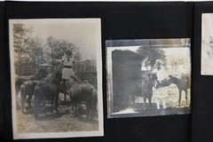 Antique Photo Album PA Conneaut Lake Pennsylvania Nurse Pets Horses Women