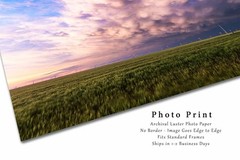 Stormy Sky Photography Print: Texas Storm Clouds Wheat Field Thunderstorm Photo