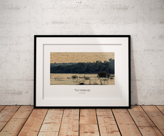 multiple original artwork photography from Argentina and Brazil