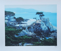 Robert Sheer Spirits Honoring the Lone Cypress Single Exp Photograph Hand signed