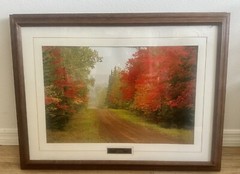 Vintage Paul Sundberg “Back Country Road”Photograph Framed Art Fall Autumn Trees