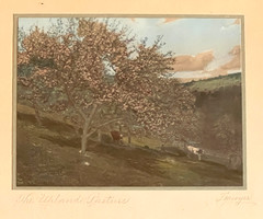 Charles Sawyer «The Upland Pasture» Cows Hand Colored Photo Nutting Peer