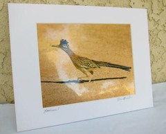 Roadrunner! Palm Springs CA 8×10 Photograph signed Brian Blackwelder – #76