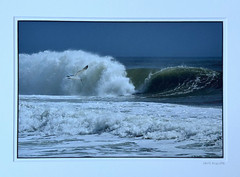 DAVID MICELOTTA HAND SIGNED PHOTOGRAPH COASTAL SEASCAPE SEAGULL BIRD AND WAVE