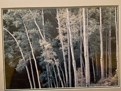 THOMAS D MANGELSEN Original Photograph