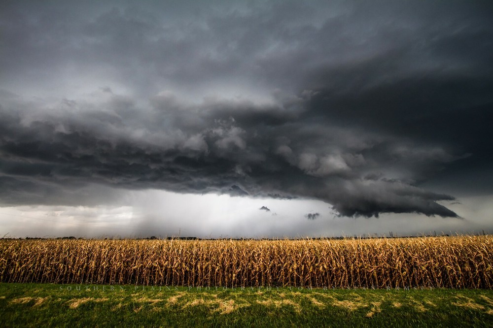 Storm Photography Print – Picture of Thunderstorm Over Corn Field in Kansas