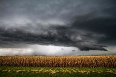 Storm Photography Print – Picture of Thunderstorm Over Corn Field in Kansas