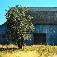 MICHAEL RAY Original Vintage Signed Long Island Landscape Barn Photograph Print