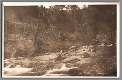 Photography Mountain Stream in the Forest, Long Exposure, AK155
