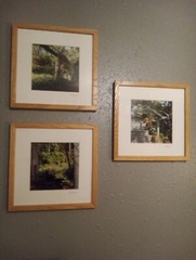 Jan Gordon Photographic Art