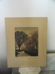 1912 Hand Tinted Photograph Print Vermont Blossoms Wallace Nutting