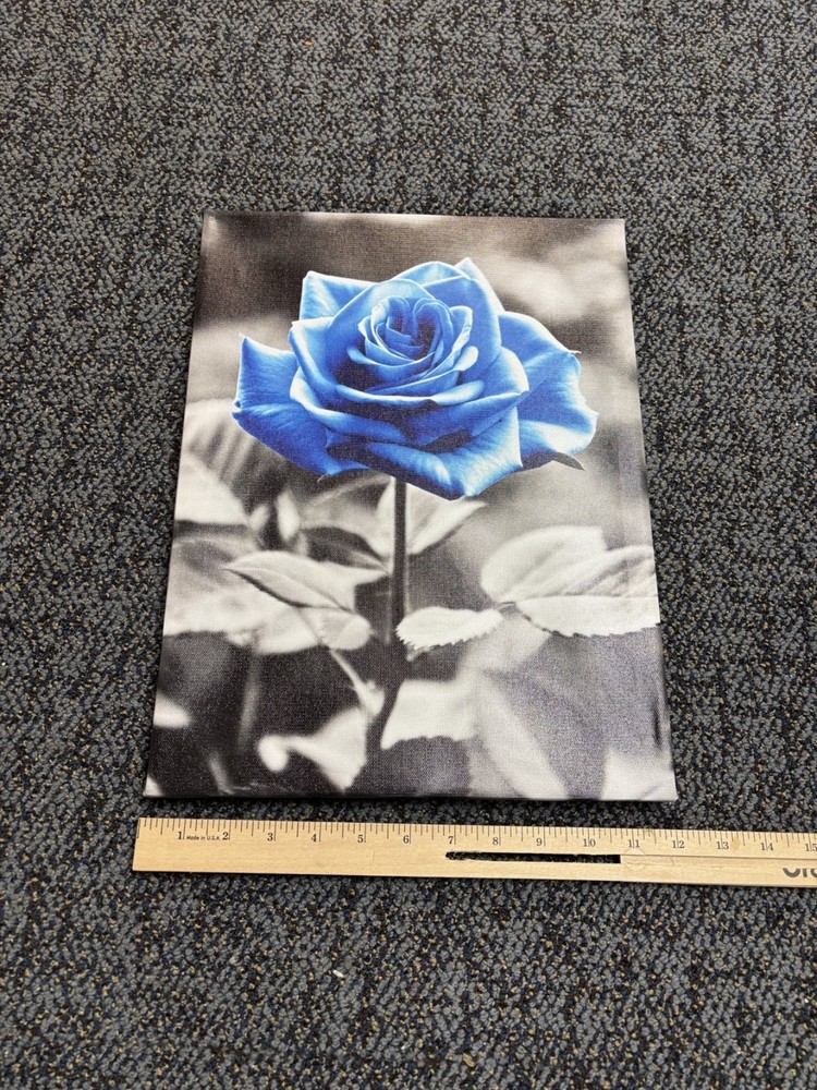 12 in x 16 in Blue Rose Photo Framed 2