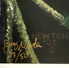 Joey Newton signed 23 of 50 Art Photograph 8×10 Glossy Red Cardinal on Branch B5
