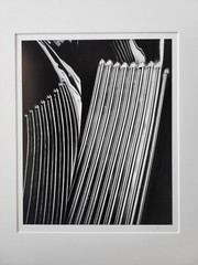 Richard Garrod, silver gelatin, black and white photograph, Running Board