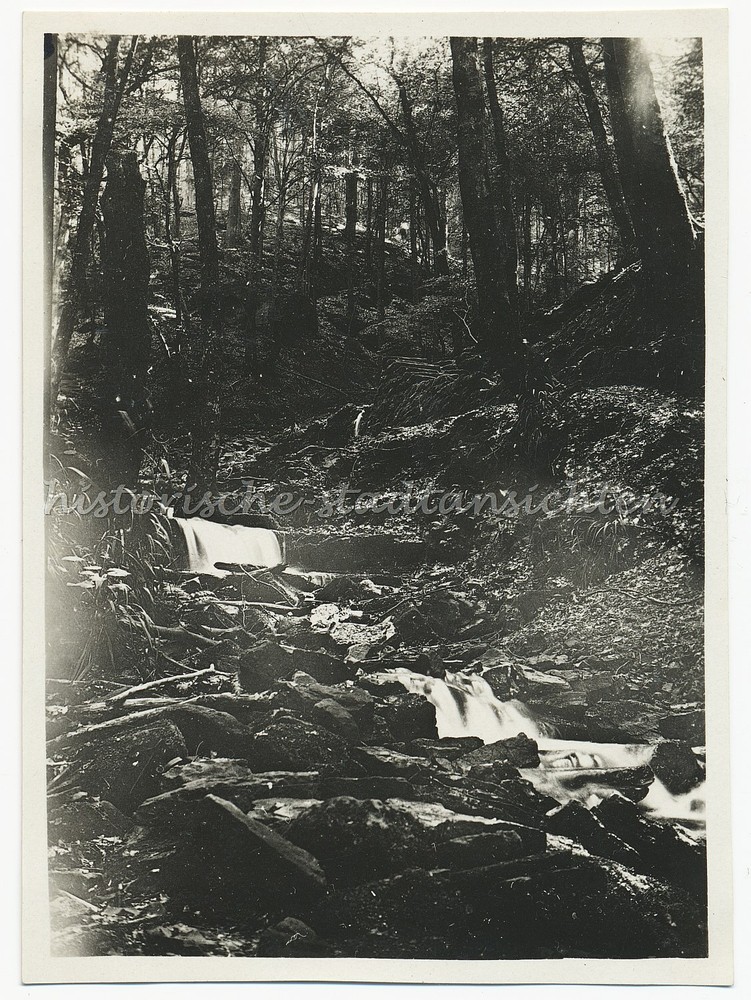 Eberbach am Neckar 1929 – Wolf Gorge – Old Photo 1920s