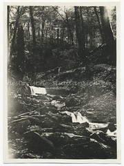 Eberbach am Neckar 1929 – Wolf Gorge – Old Photo 1920s