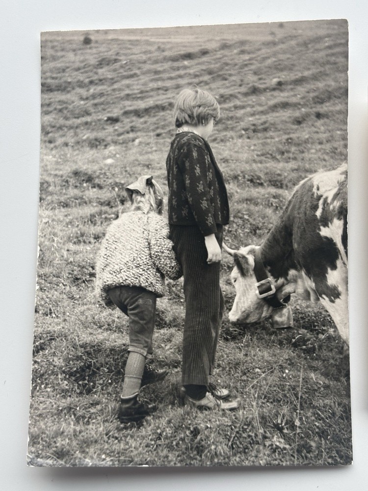 🐕 Lot 2x Vintage Photo Children with Cow in the Mountains, Circa 1960s, 7×10