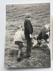 🐕 Lot 2x Vintage Photo Children with Cow in the Mountains, Circa 1960s, 7×10
