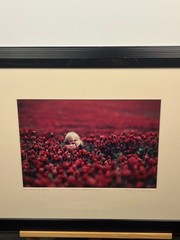 Original Signed Gregory Lawler, Framed Limited Edition- «Field of Dreams»