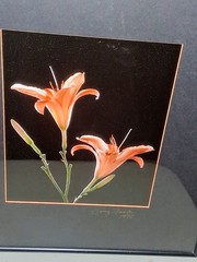 Cibachrome ART PRINT Signed & Framed Print Tony Festa RARE