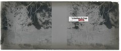 Campaign, Nature, Stereoscopic Glass Plate, Black & White Negative 4.5×10.7 Cm