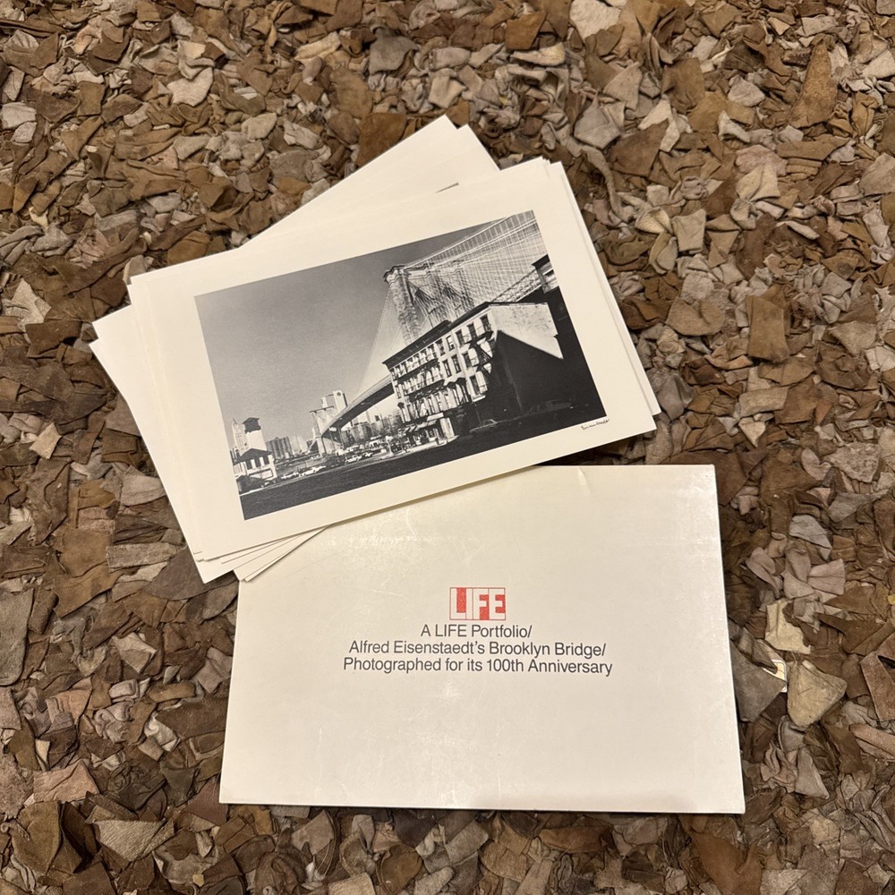 Lot Of 11 Alfred Eisenstaedt’s Brooklyn Bridge Life Portfolio Prints