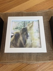 Original Artwork Polaroid On Archival Paper Wilderness Triptych 6×6 Framed $450