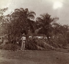 Larger size C. B. WAITE photo, Homes of coffee growers, Mexico, rare, , Vintage