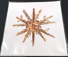 MIKE & DOUG STARN TWINS ‘Sno7,1_016 (Snowflake)’, 2005 SIGNED Photograph **NEW**